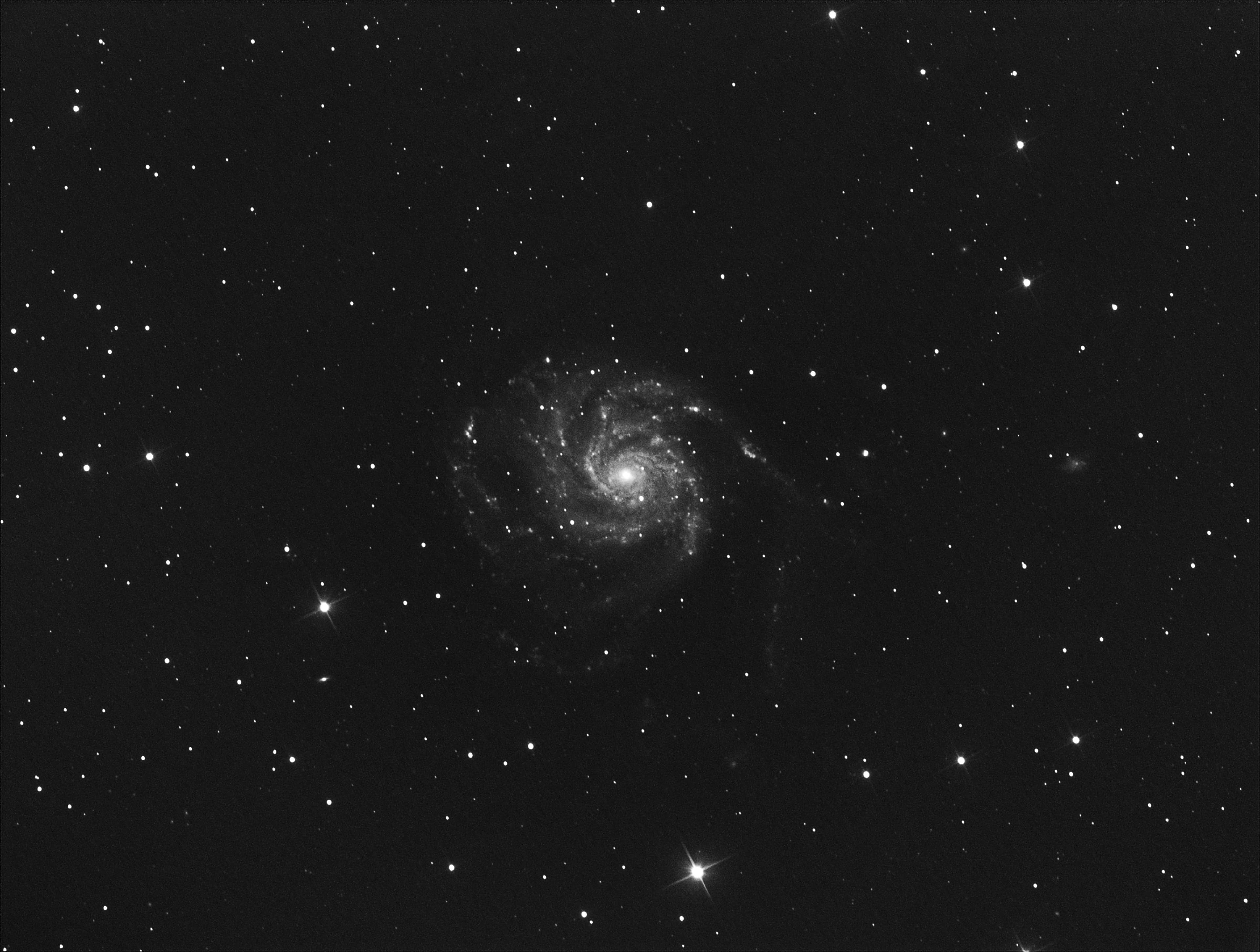 Фотография M 101 от 27.02.2021