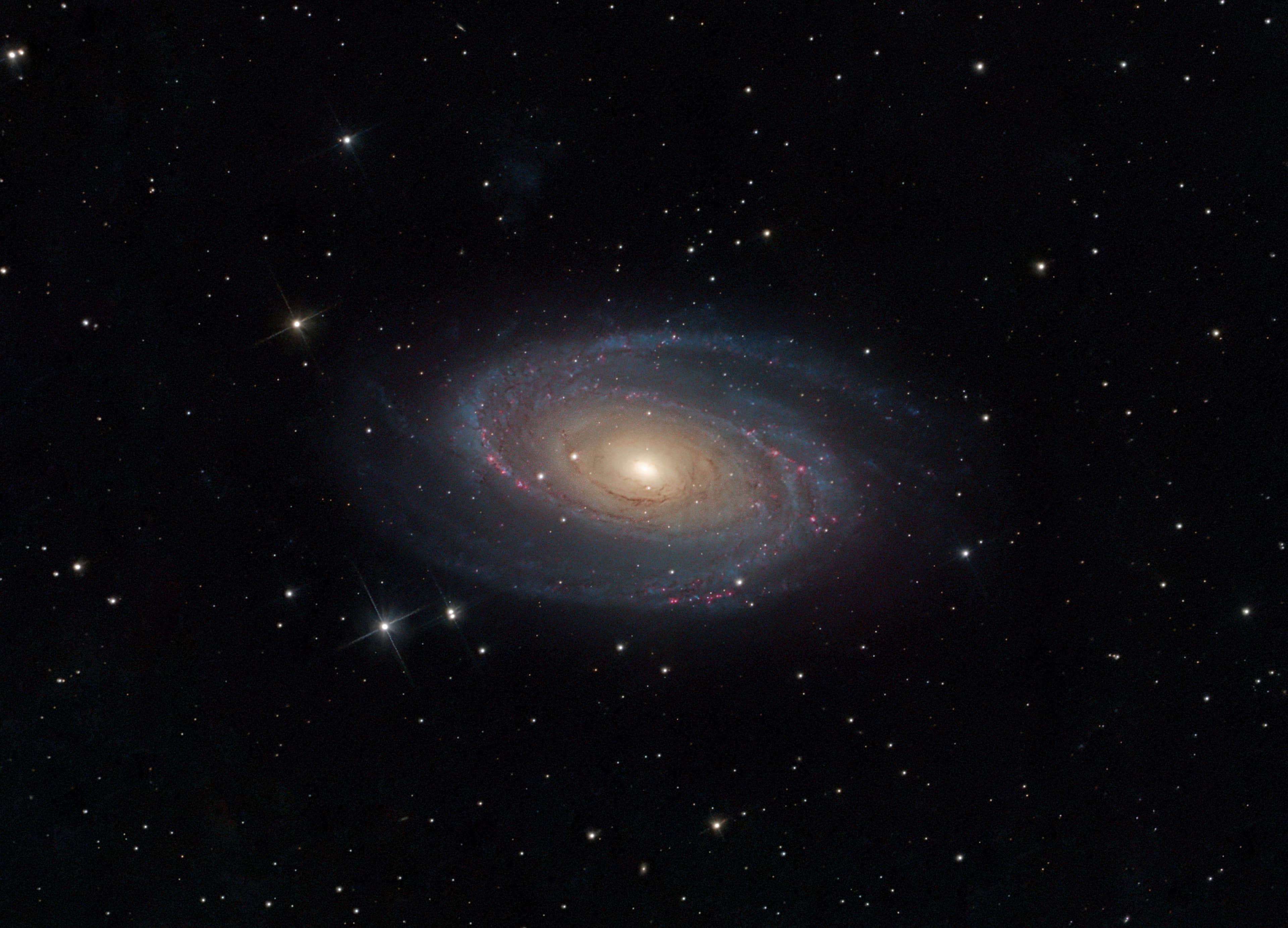 Фотография M 81 от 22.08.2023