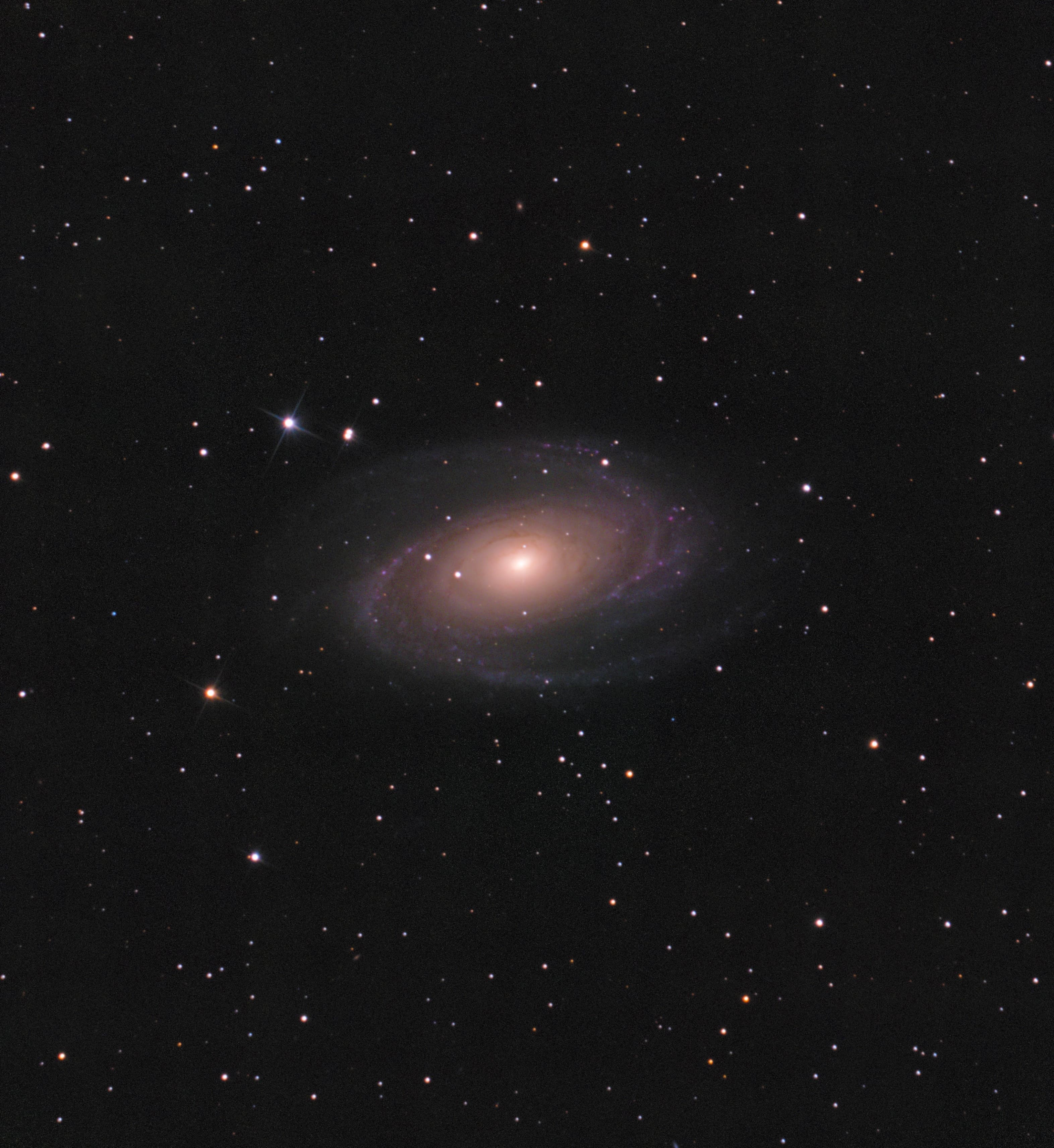 Фотография M 81 от 31.05.2021