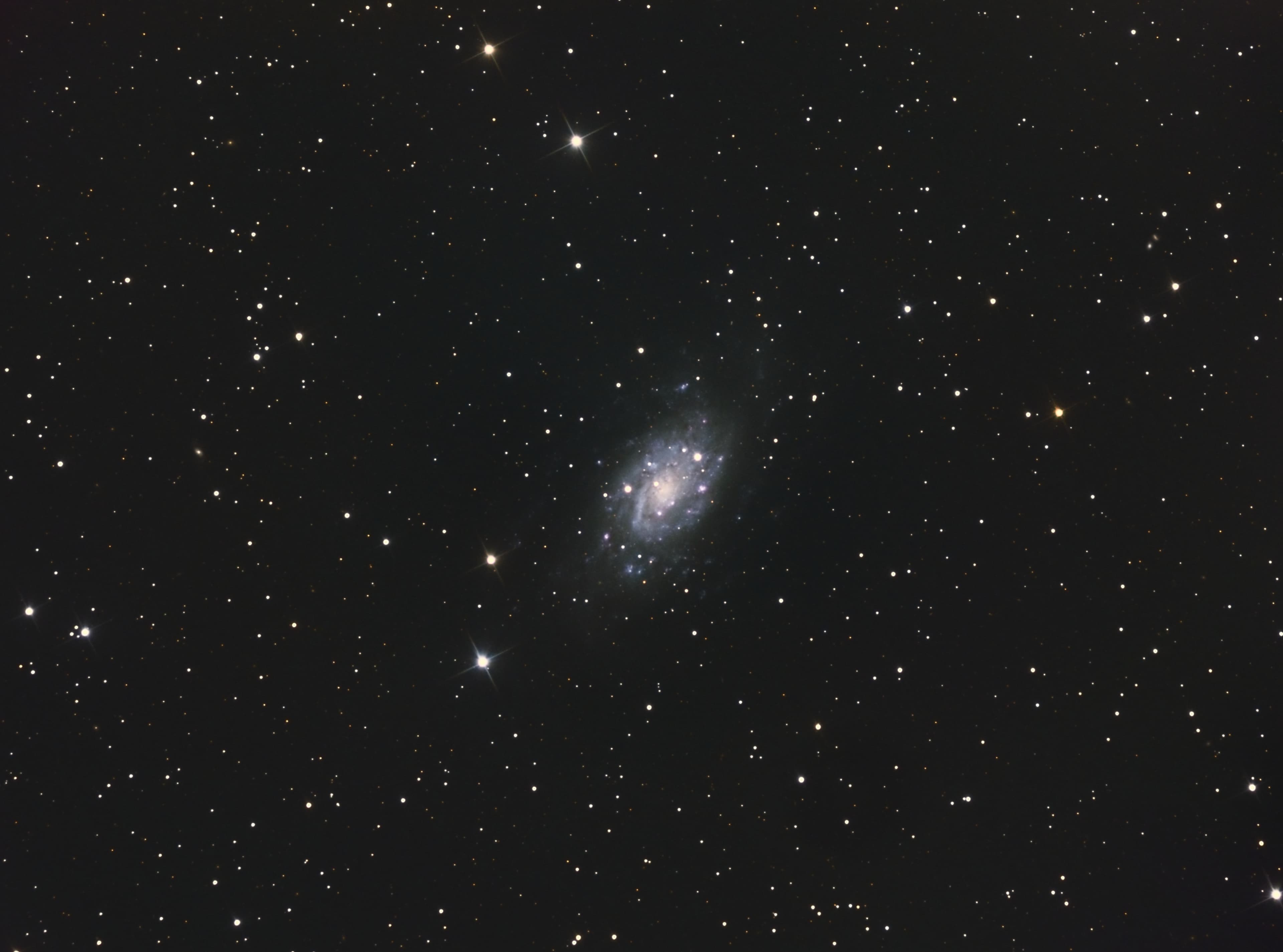 Фотография NGC 2403 от 07.02.2021