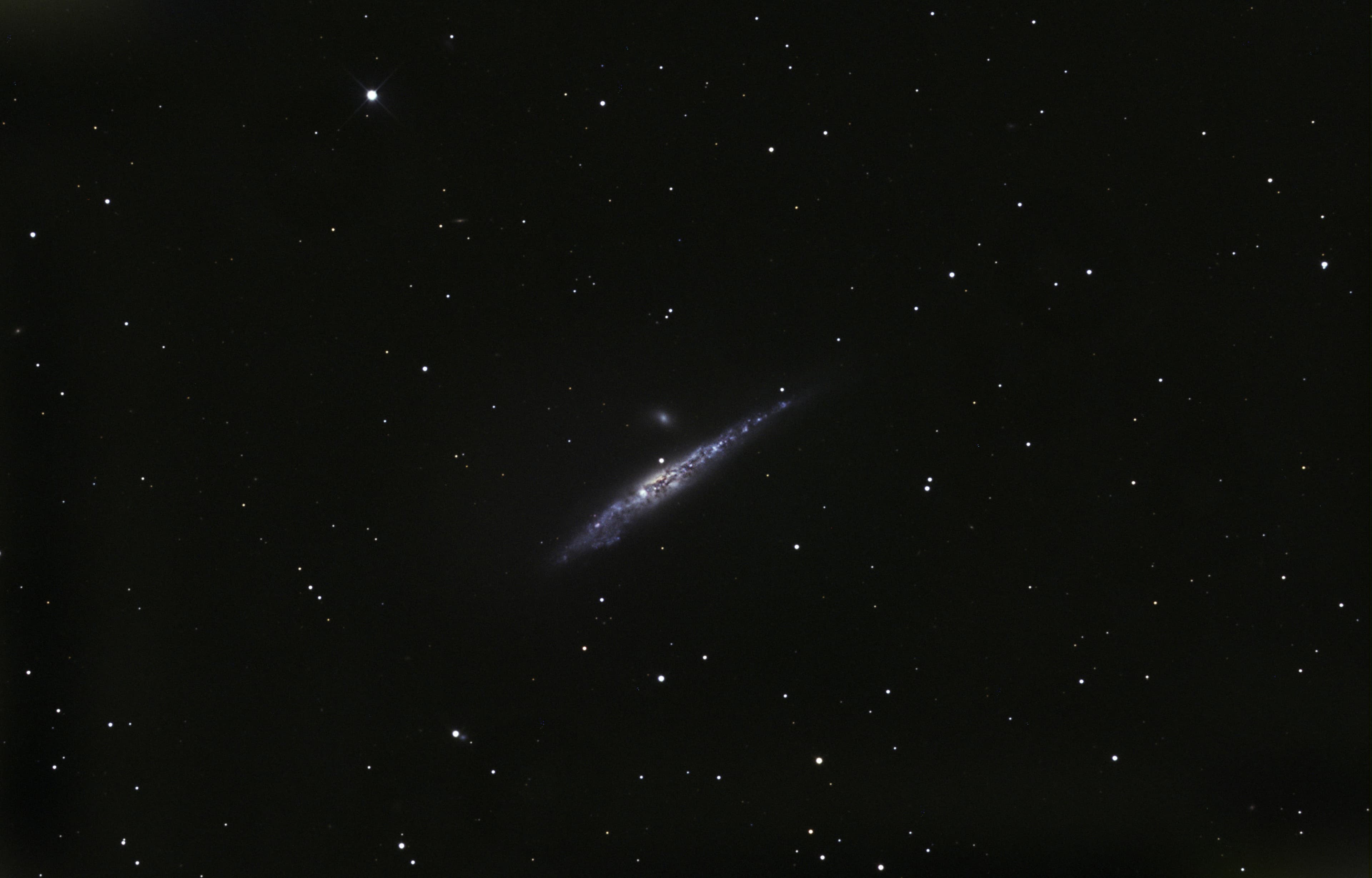 Фотография NGC 4631 от 25.08.2020