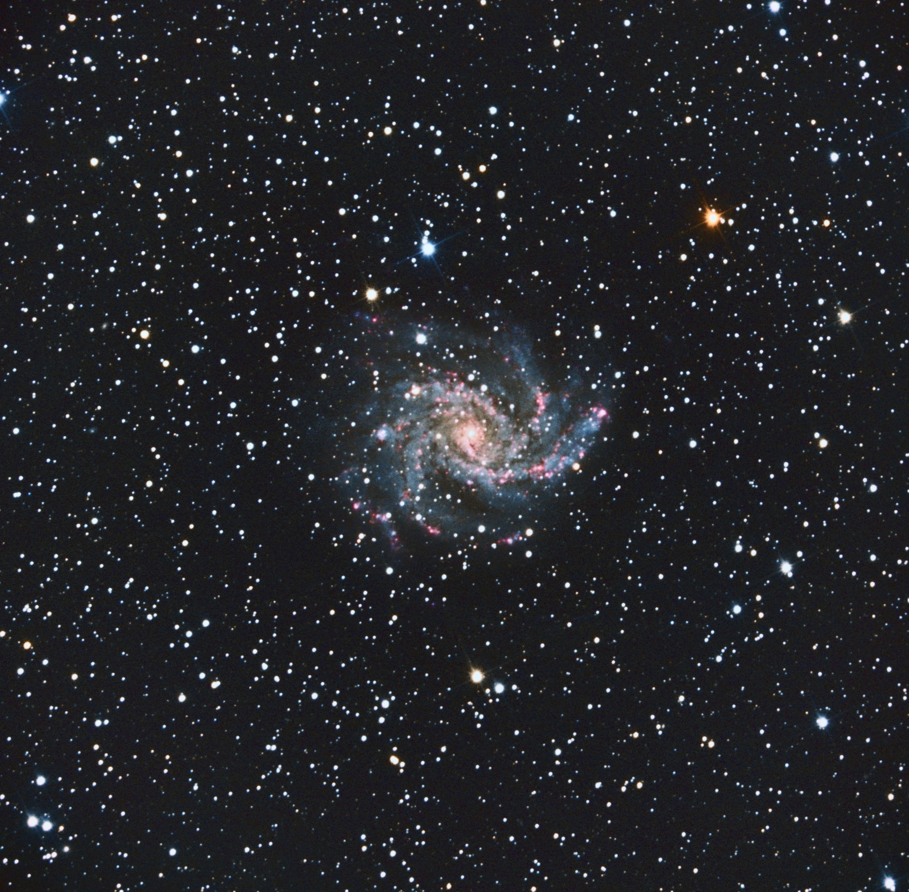 Фотография NGC 6946 от 12.01.2021