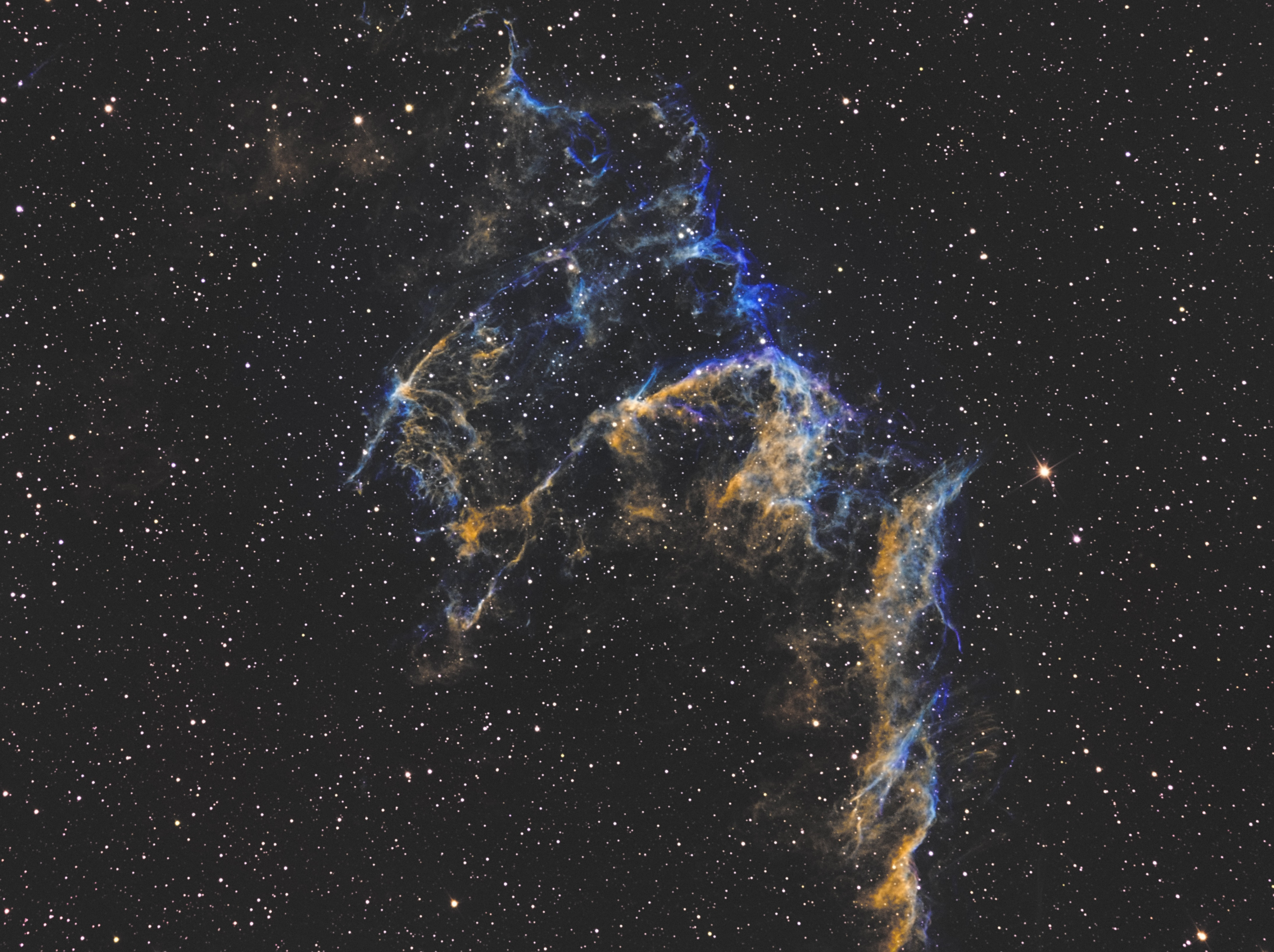 Фото NGC 6995 от 05.08.2021