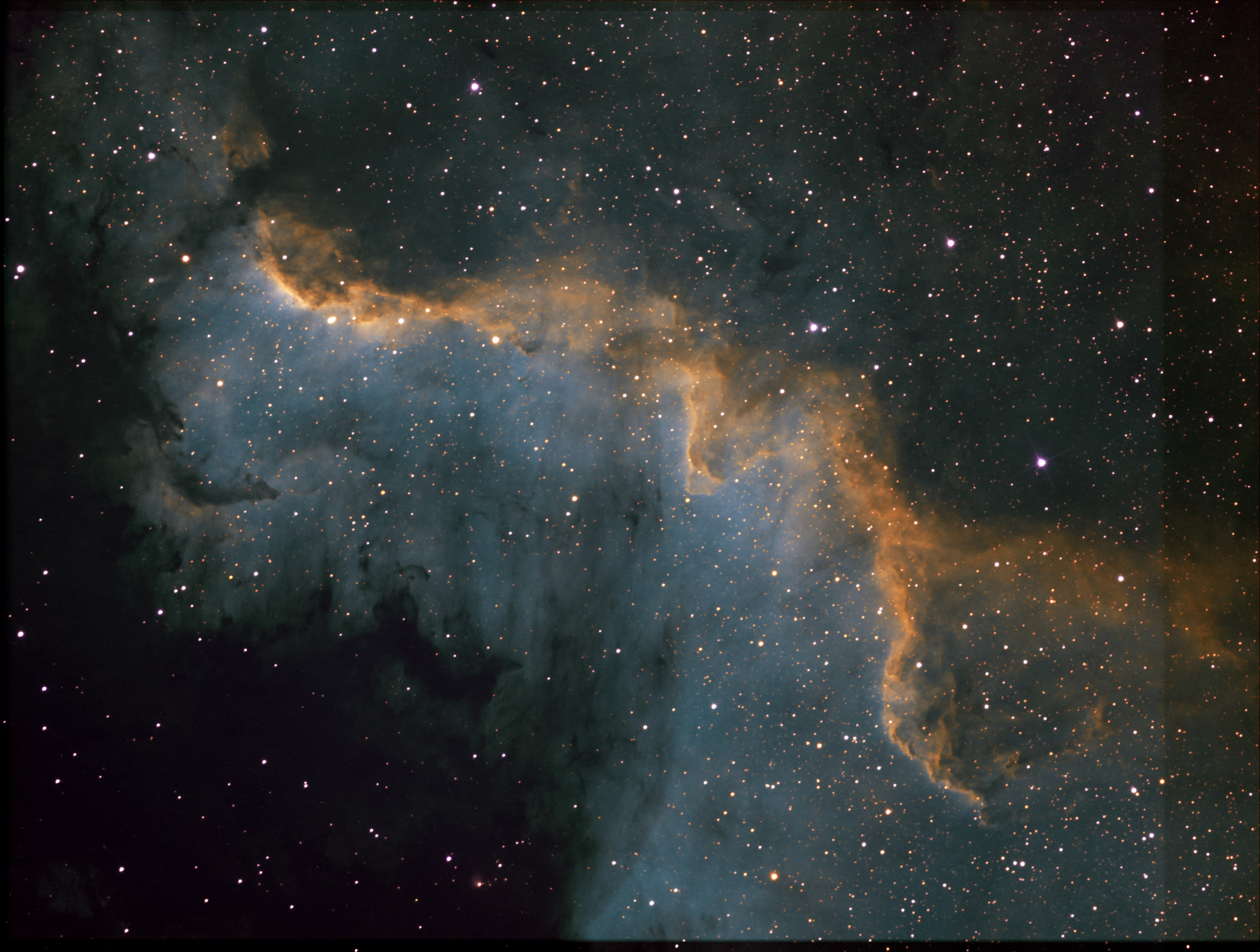 Фотография NGC 7000 от 25.08.2020