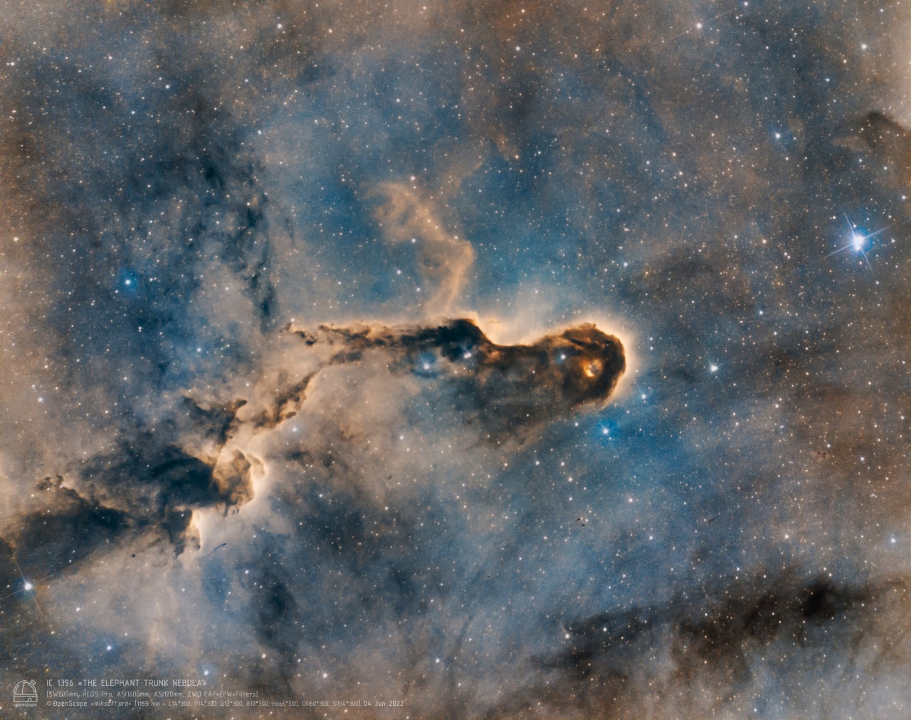 Туманность "Хобот слона" (IC 1396A)