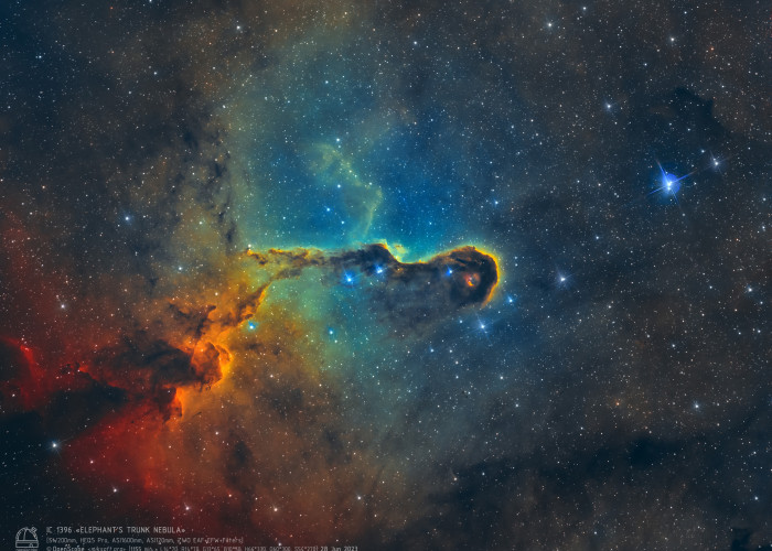 Туманность "Хобот слона" (IC 1396A)