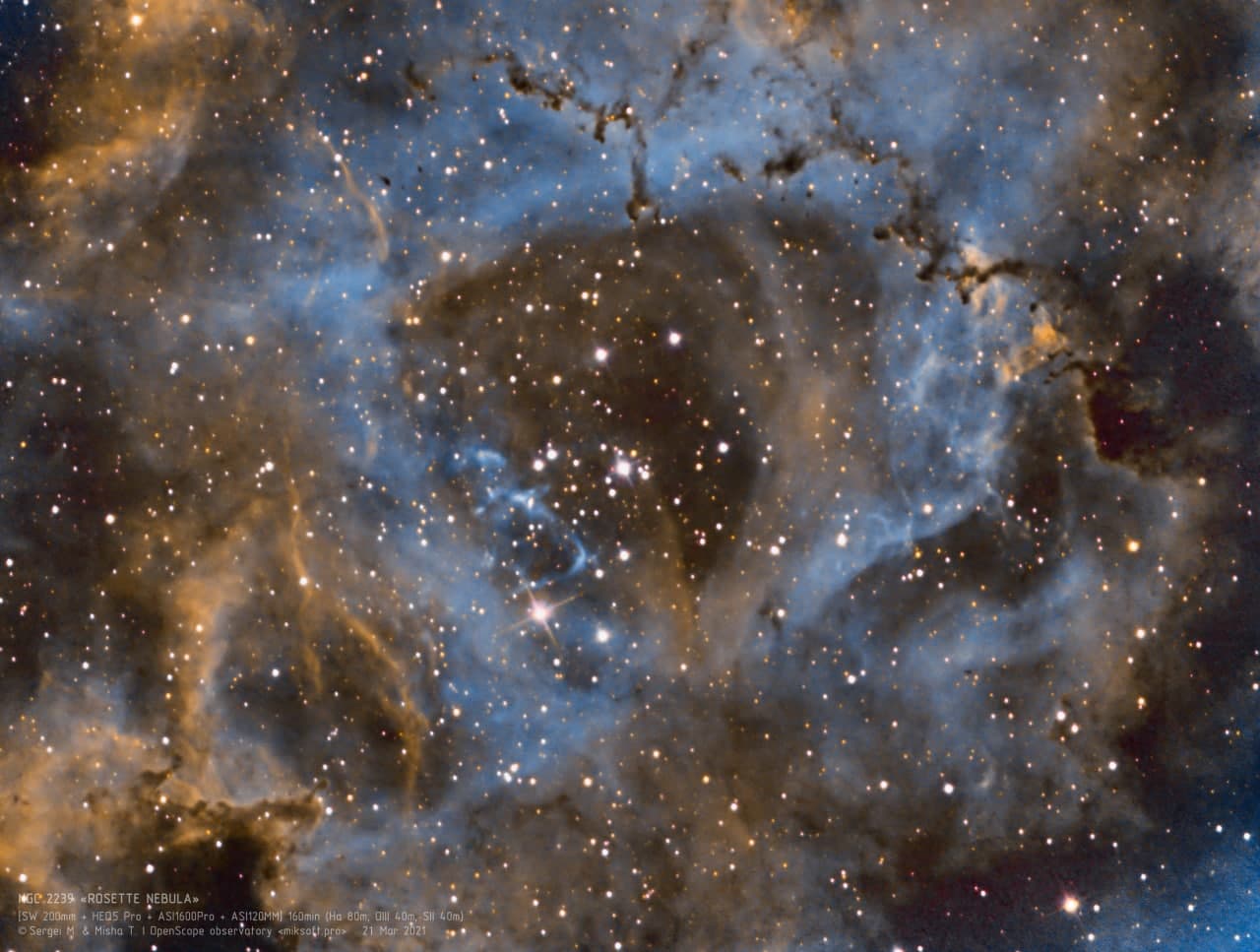 Туманность "Розетка" (NGC 2239)