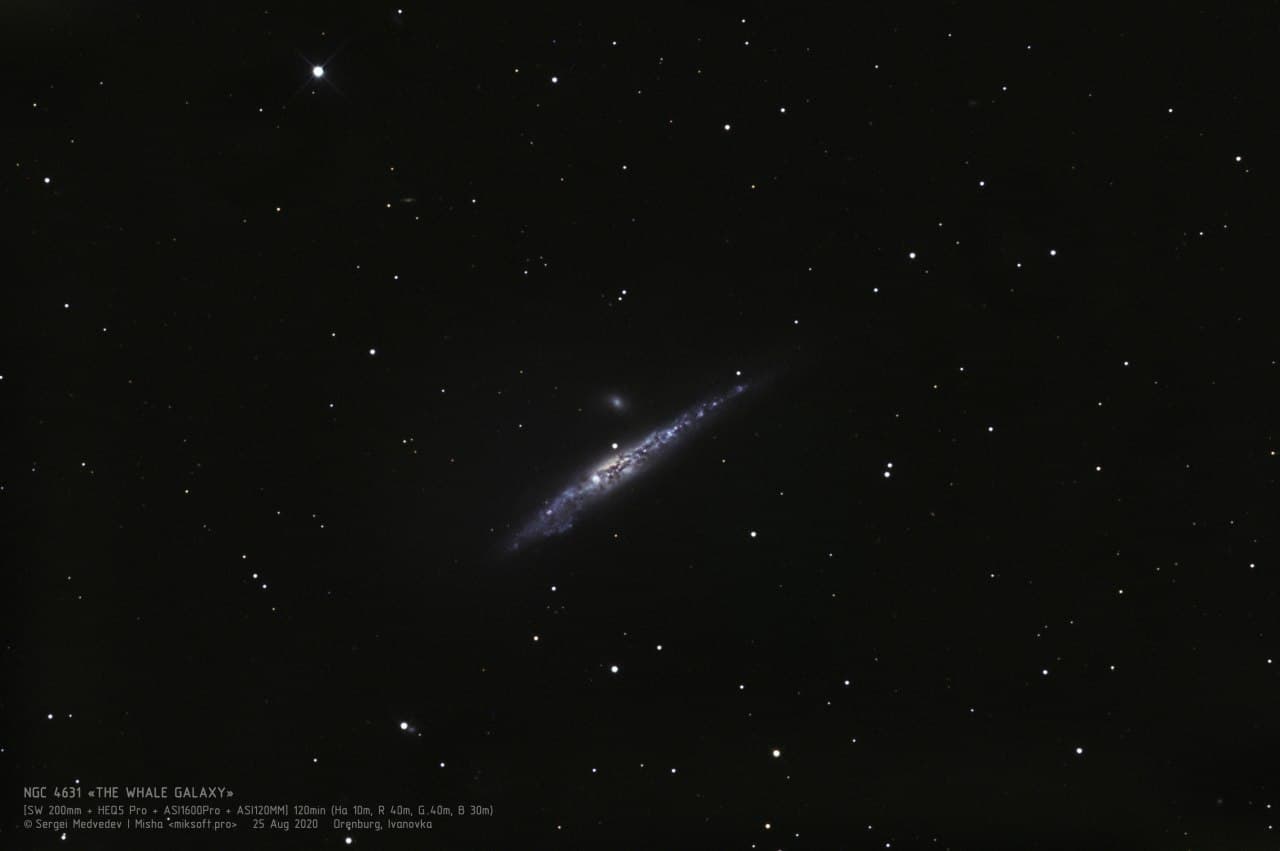 Галактика "Кит" (NGC 4631)