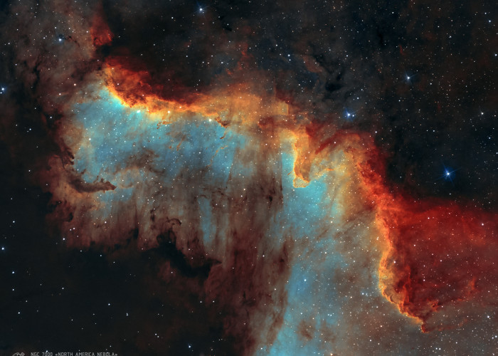 Туманность "Северная Америка" (NGC 7000)