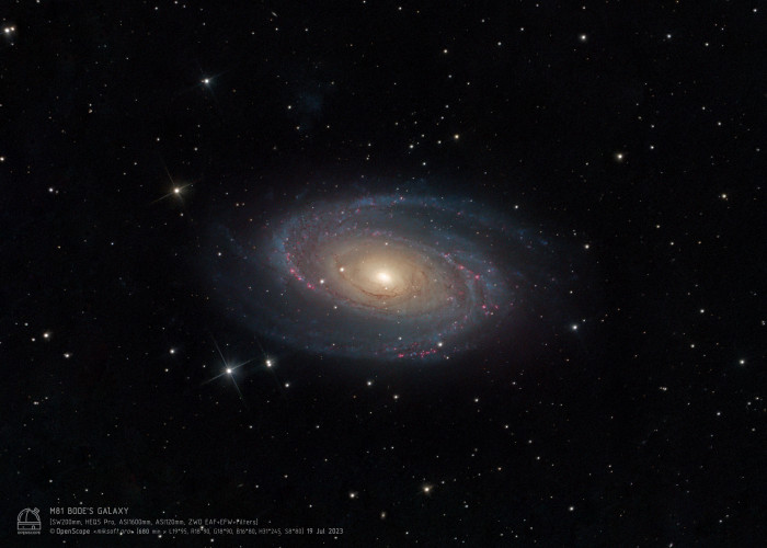 Галактика "Боде" (M 81) Фотография объекта