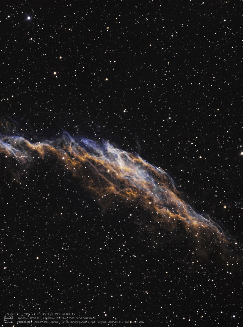 Туманность "Щука" (NGC 6992) Фотография объекта