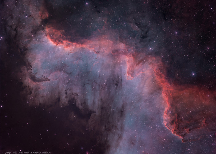 Туманность "Северная Америка" (NGC 7000) Фотография объекта